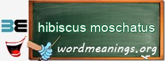 WordMeaning blackboard for hibiscus moschatus